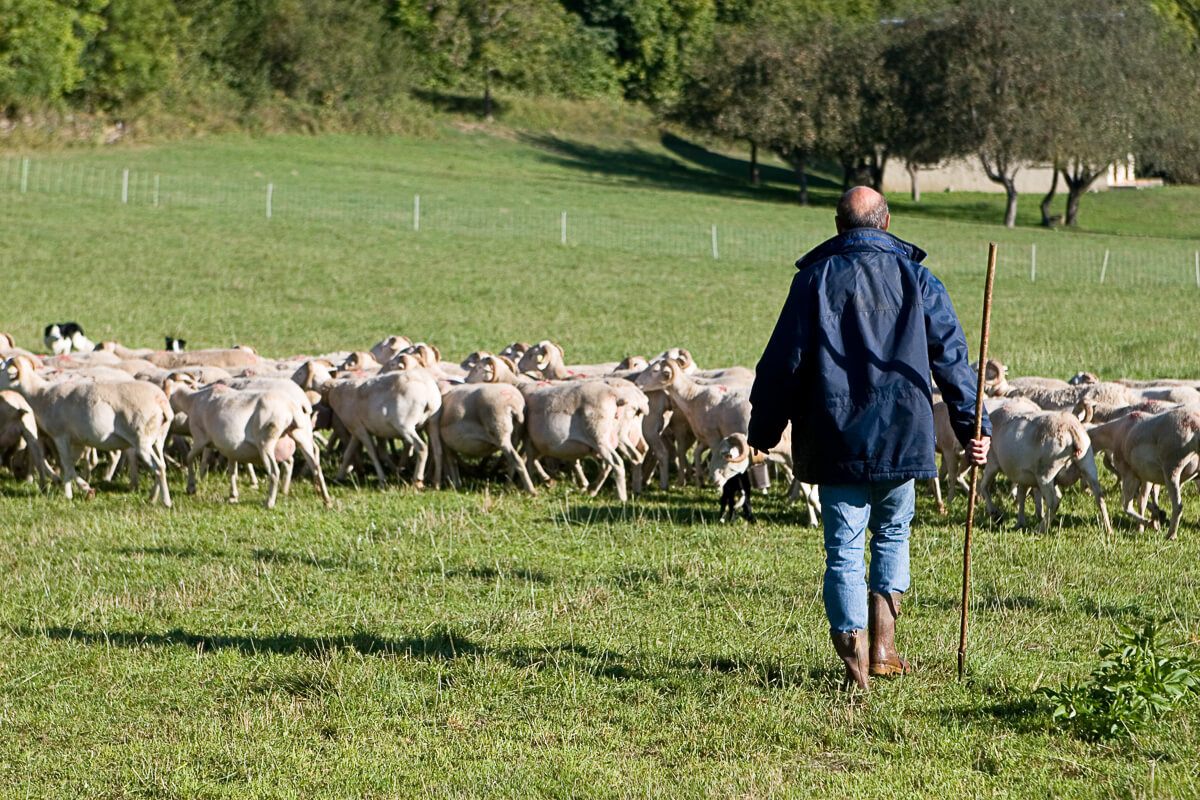 Pastoralisme en vallée du Louron Pastoralisme en vallée du Louron