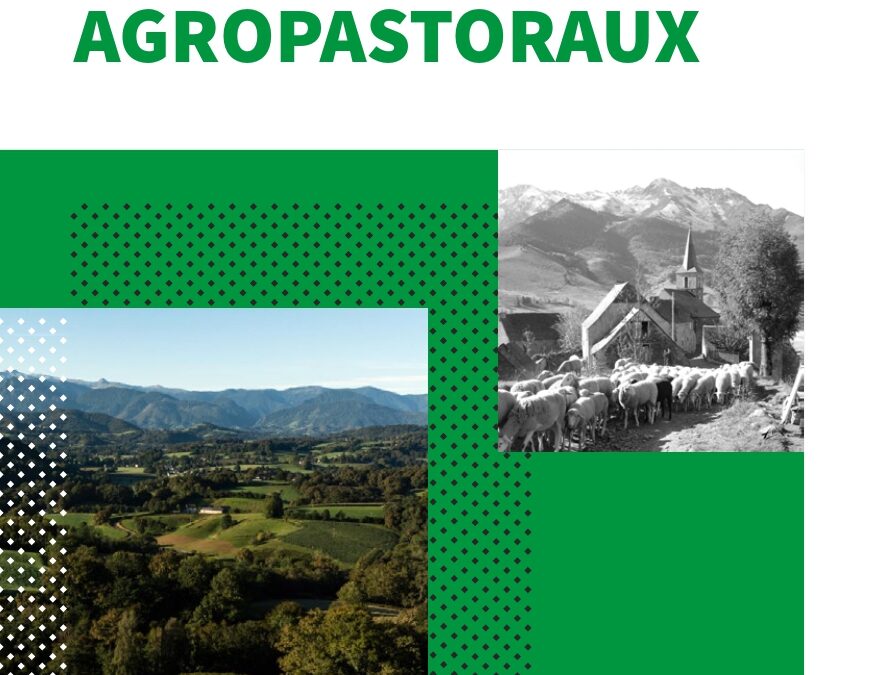 Bâtis et paysages agropastoraux
