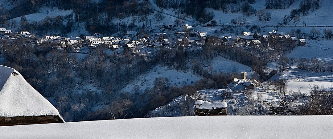 ode bandeau banniere-102